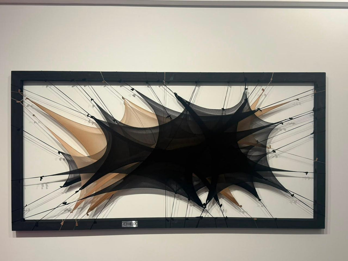 VI PERMANENCIA, obra enmarcada de Vanina Cheij, serie EXHIBITA