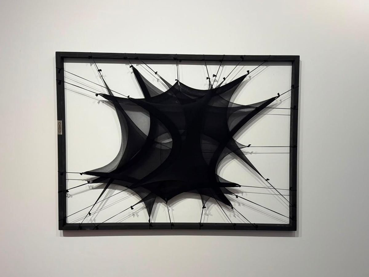 IV COEXISTENCIA, obra enmarcada de Vanina Cheij, serie EXHIBITA